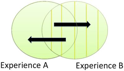 Taking the mystery away from shared intentionality: The straightforward view and its empirical implications